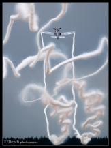 Photos of the Month 2012-2014